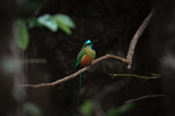 Quel est le but du tourisme ?